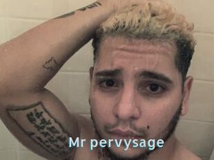 Mr_pervysage