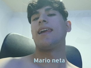 Mario_neta