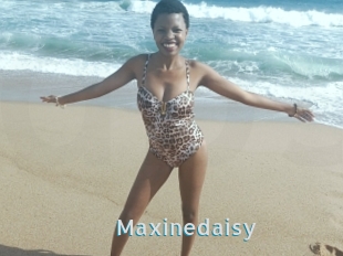 Maxinedaisy