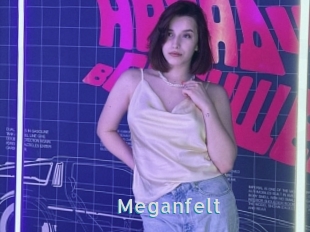 Meganfelt