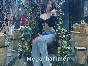 Meganhammer