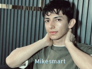 Mikesmart