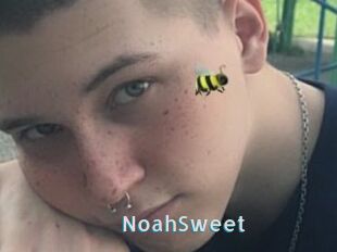 NoahSweet