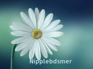 Nipplebdsmer