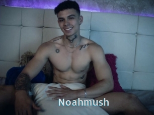 Noahmush