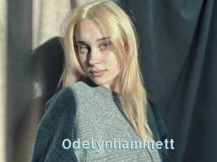 Odelynhammett