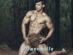 Owenwolfe