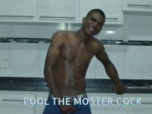 POOL_THE_MOSTER_COCK