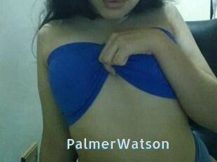 PalmerWatson