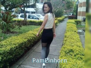 PamEinhorn