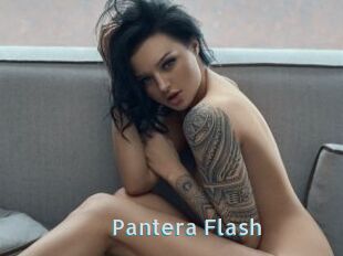 Pantera_Flash