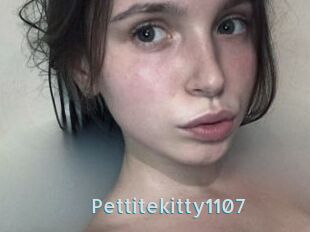 Pettitekitty1107