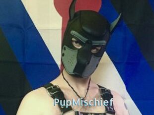 PupMischief