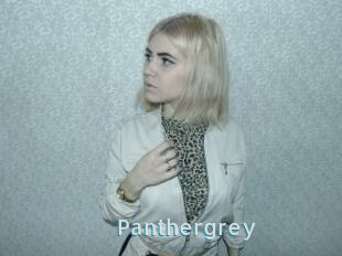 Panthergrey