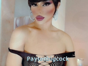 Paytonbigcock