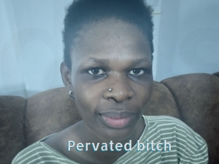 Pervated_bitch