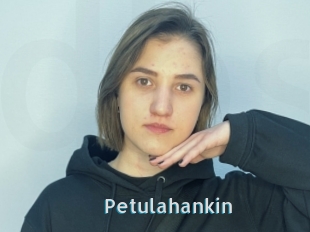 Petulahankin