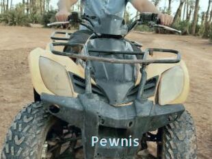 Pewnis