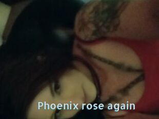 Phoenix_rose_again