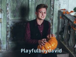 Playfulboydavid