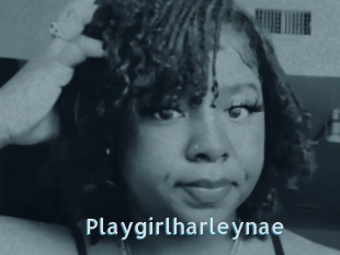 Playgirlharleynae