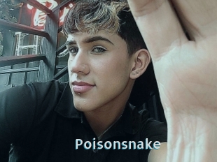 Poisonsnake