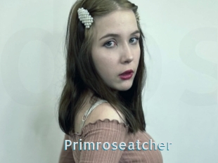 Primroseatcher