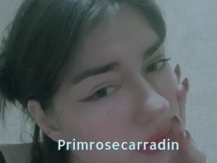 Primrosecarradin