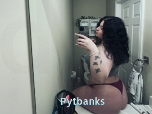 Pytbanks