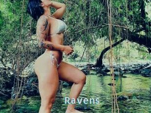 Ravens