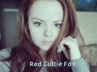 Red_Cuttie_Fox