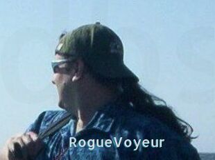 RogueVoyeur