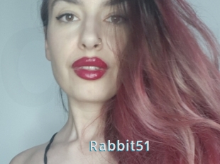 Rabbit51