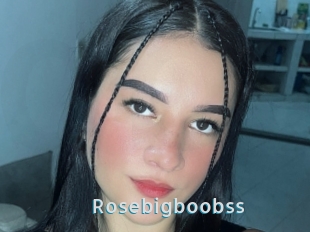 Rosebigboobss