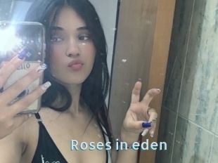 Roses_in_eden