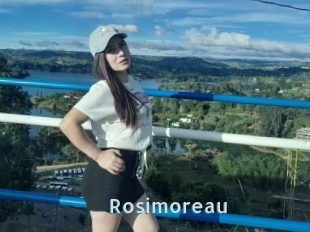 Rosimoreau