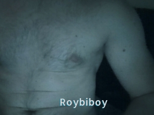 Roybiboy