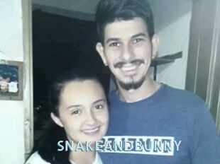 SNAKEANDBUNNY