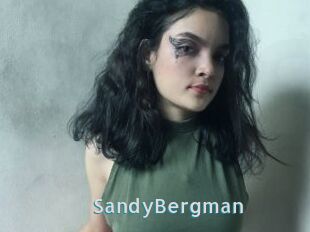 SandyBergman