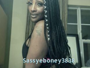 Sassyeboney3838