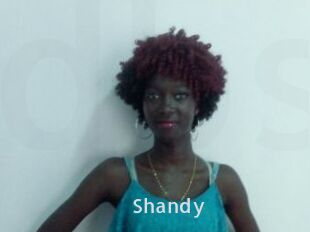 Shandy