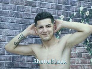 ShaneBlack