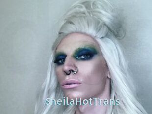 SheilaHotTrans