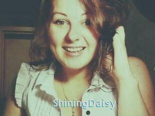 ShiningDaisy