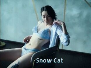 Snow_Cat