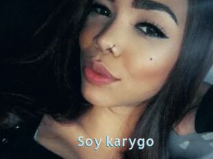 Soy_karygo