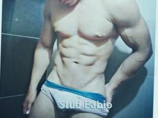 Stud_Fabio