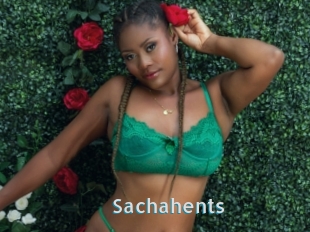 Sachahents