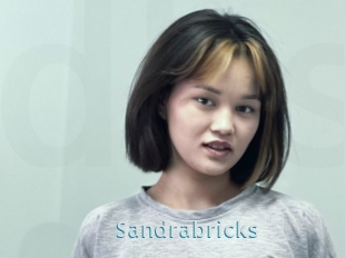 Sandrabricks