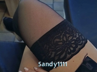 Sandy1111